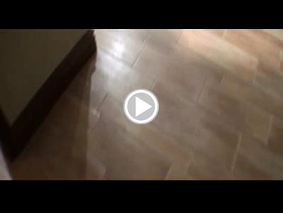 Corporate women sex videos